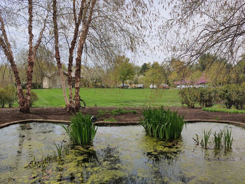 A Small Park That Earns Its Place On The Local List