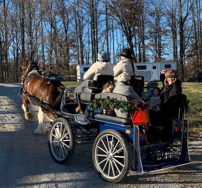 A Smooth, Comfortable Ride for the Whole Family A Smooth, Comfortable Ride for the Whole Family
