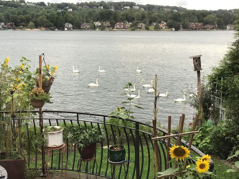 A Soft Verdict For Curious New Jersey Day-Trippers A Soft Verdict For Curious New Jersey Day-Trippers