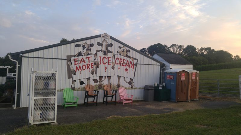 A Soft Verdict For New Jersey Ice Cream Seekers A Soft Verdict For New Jersey Ice Cream Seekers