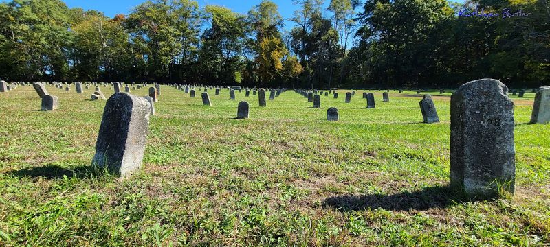 A Soft Verdict On The Numbered Graves A Soft Verdict On The Numbered Graves