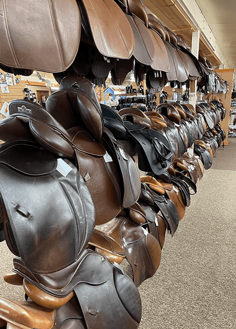 A Soft Verdict for New Jersey Riders A Soft Verdict for New Jersey Riders