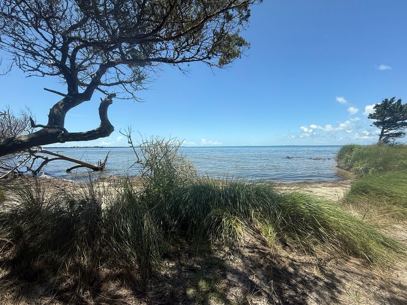 A Soundside Beach at the End of a Short Ocracoke Trail A Soundside Beach at the End of a Short Ocracoke Trail