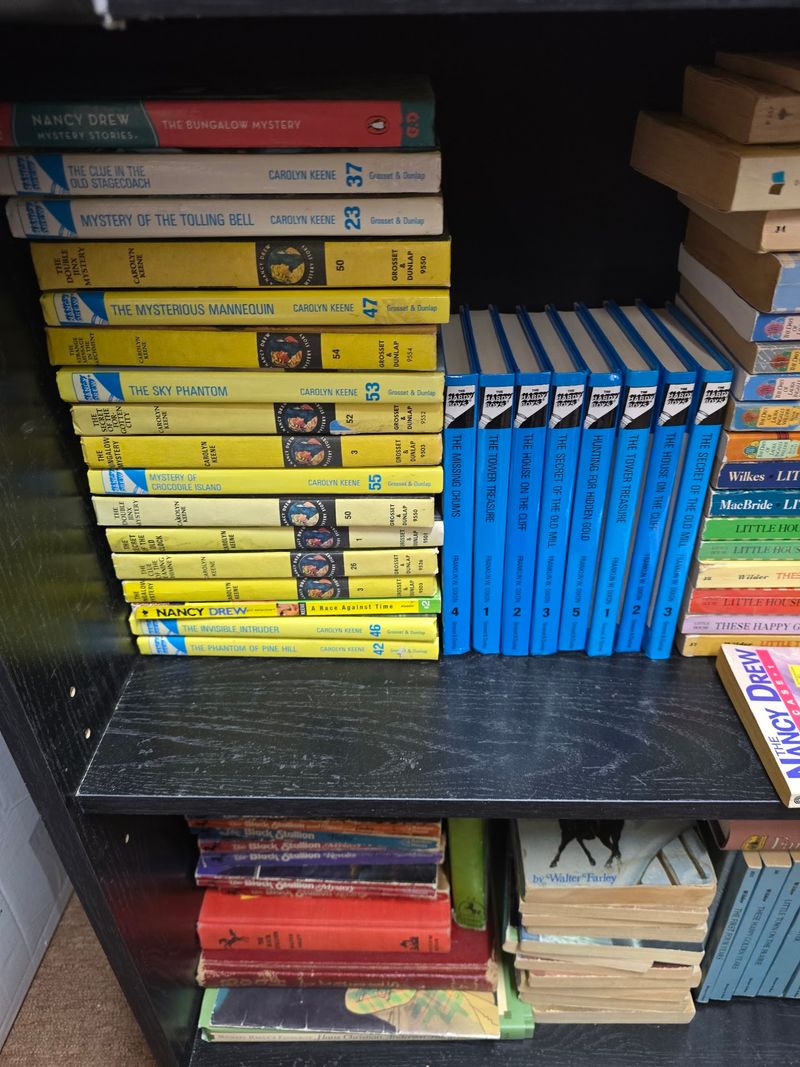 A Spot That Works For Kids And Young Readers Too A Spot That Works For Kids And Young Readers Too