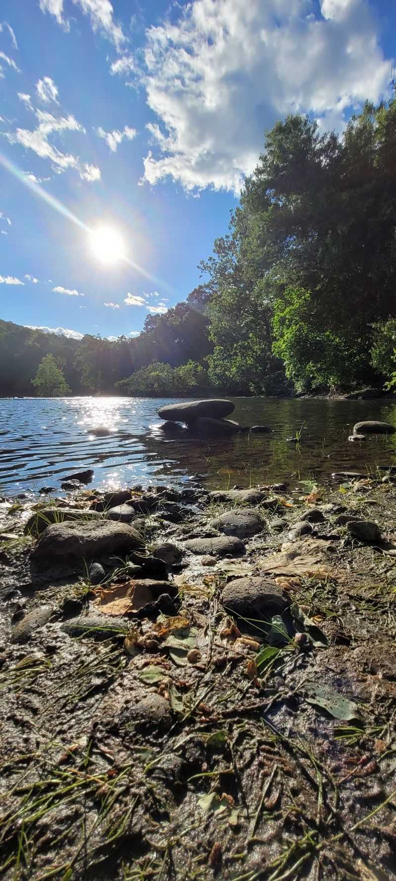 A Swimming Hole Built for Warm Days A Swimming Hole Built for Warm Days