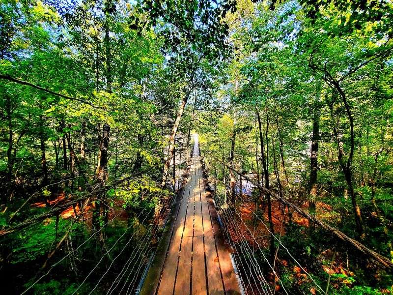 A Swinging Bridge That Gives You Sea Legs