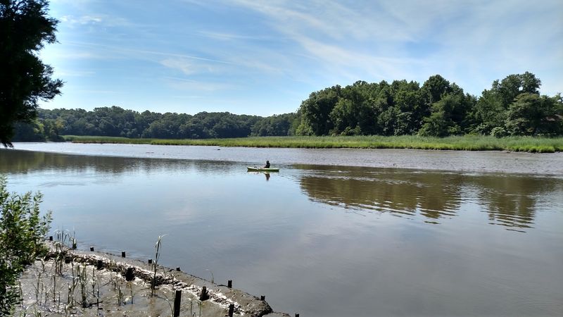 A Thousand Acres of Living Science: What This Reserve Actually Protects A Thousand Acres of Living Science: What This Reserve Actually Protects