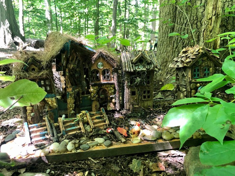 A Tiny-World Trail In Millburn