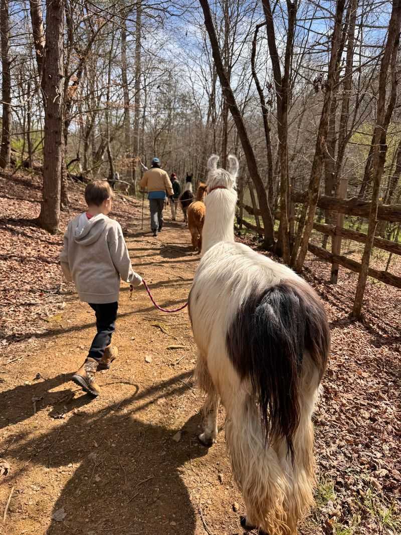 A Trail Built for All Ages and Abilities