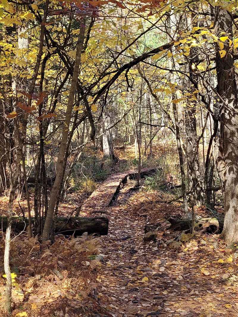 A Trail Network That Keeps Surprising You