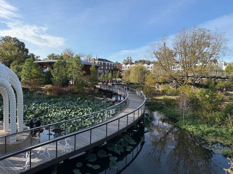 A Treetop Walkway in the Heart of Downtown Cary A Treetop Walkway in the Heart of Downtown Cary