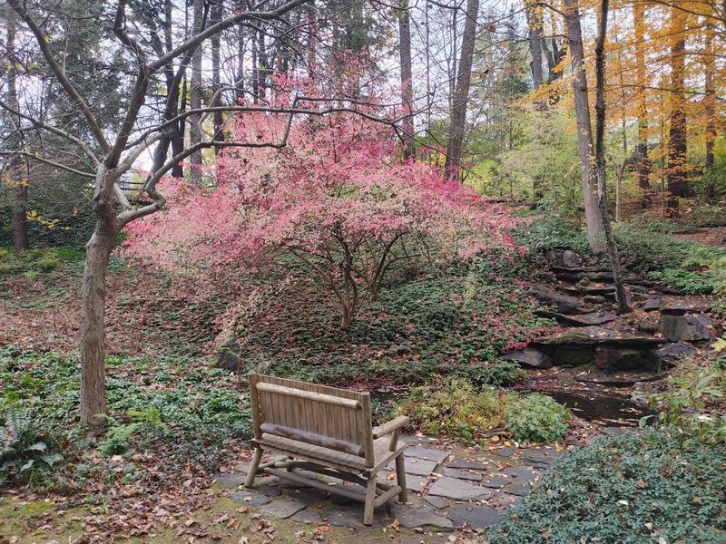 A Tribute in Bloom on Maple Street