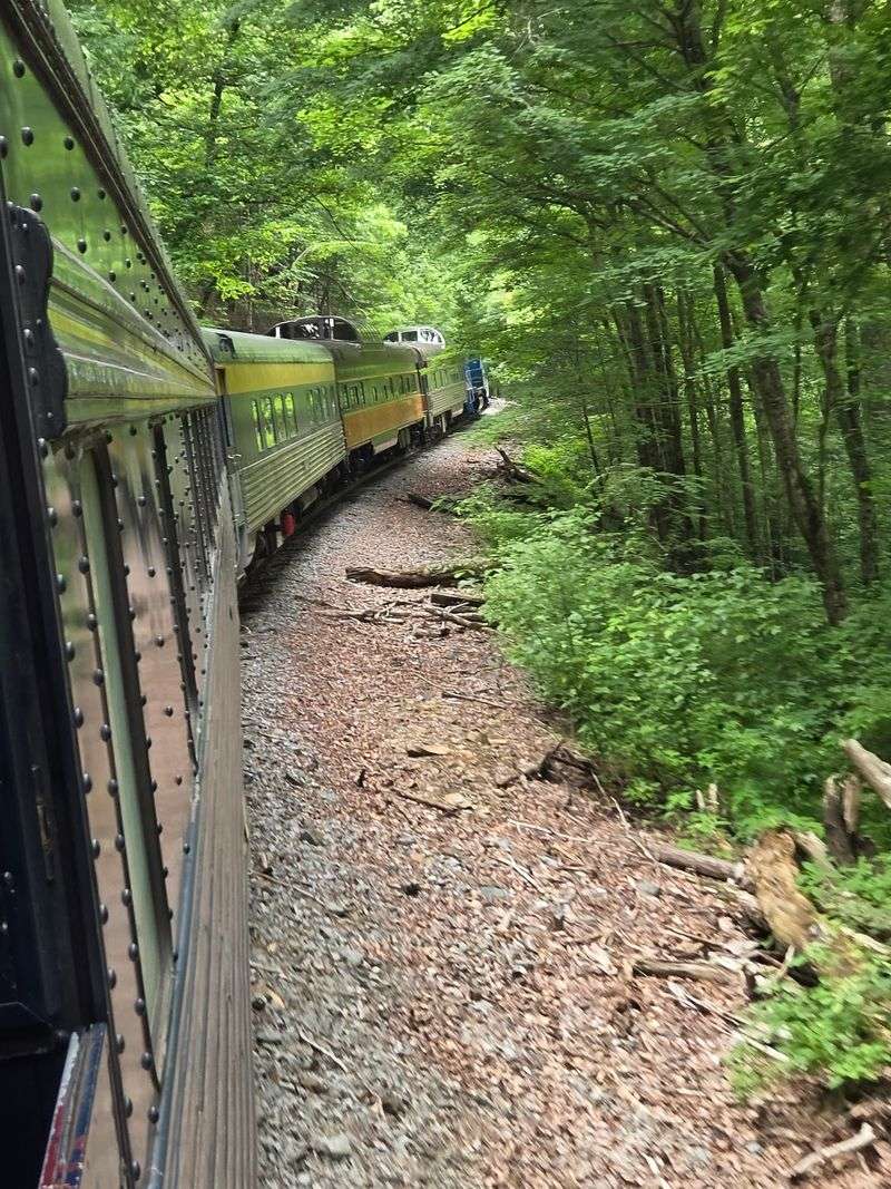 A Trip Built for the Whole Family A Trip Built for the Whole Family