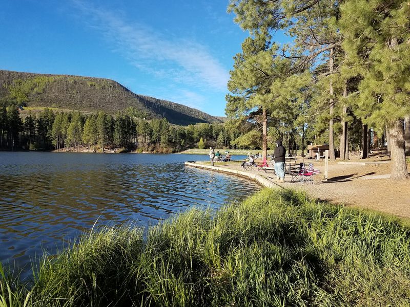 A Trout Angler's Happy Place A Trout Angler's Happy Place