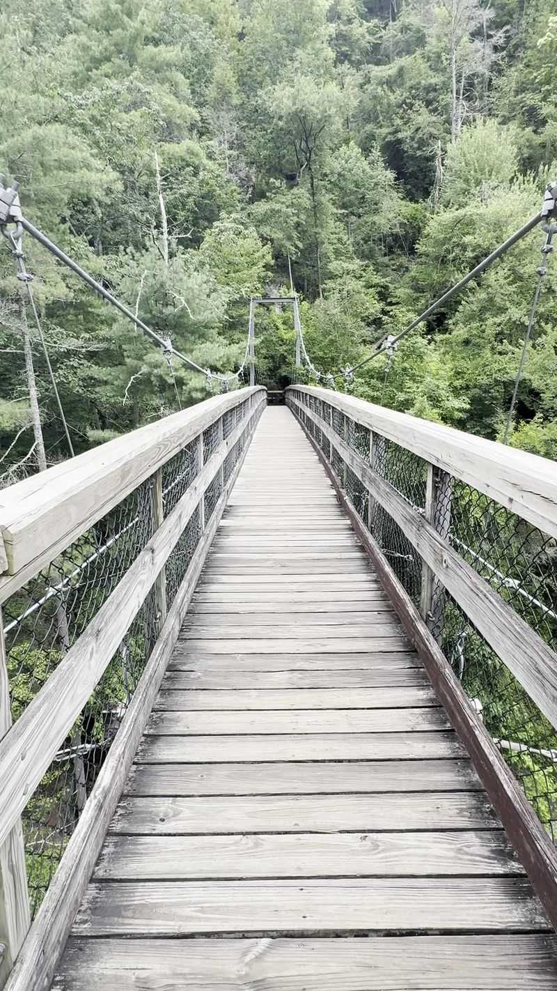 A Walkway Suspended Over a Georgia Canyon A Walkway Suspended Over a Georgia Canyon