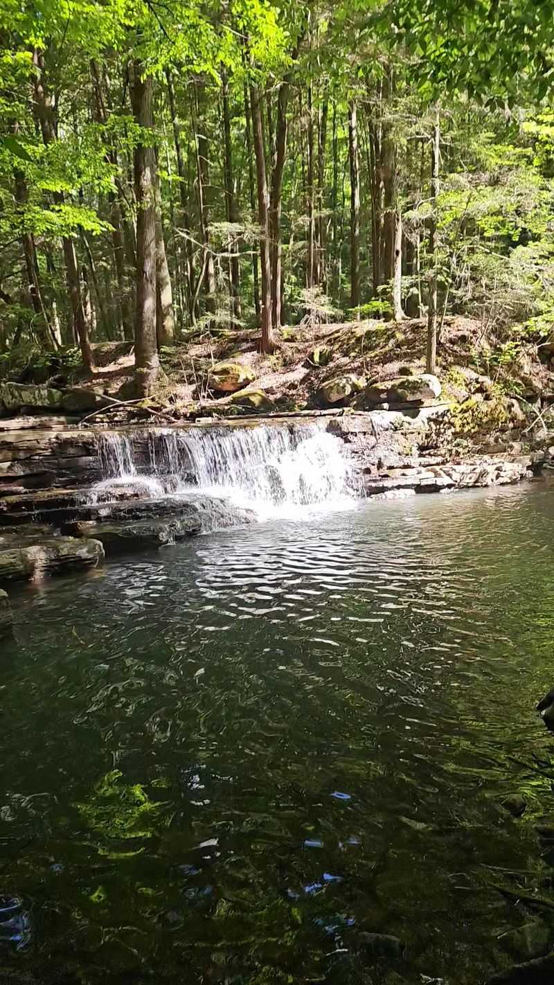 A Waterfall That Skips the Crowds A Waterfall That Skips the Crowds