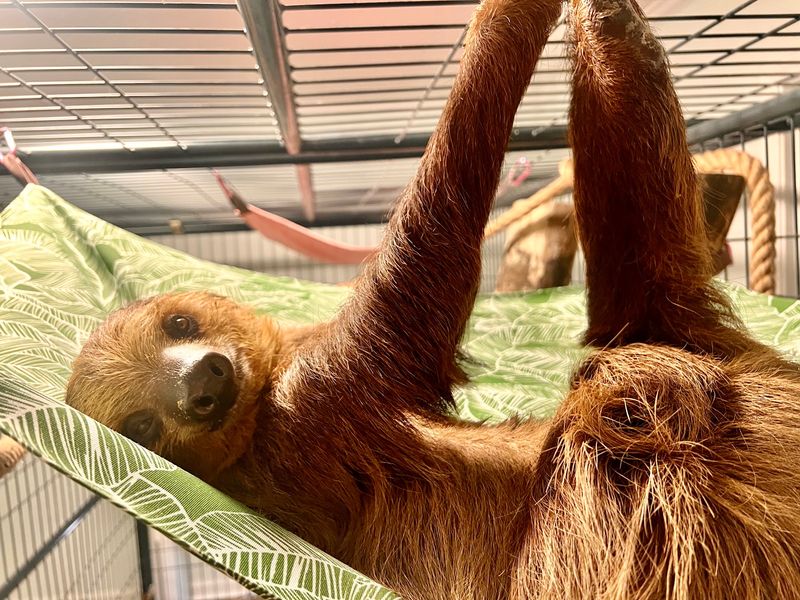 A Weekend-Only Animal Encounter A Weekend-Only Animal Encounter