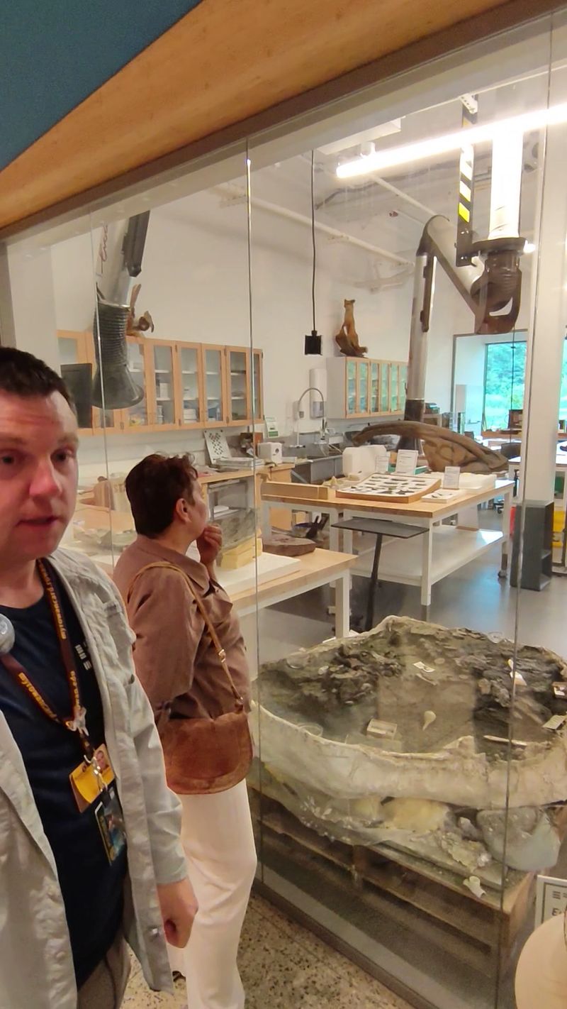 A Window Into Real Fossil Work A Window Into Real Fossil Work