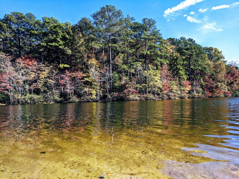 A Wooded Escape Right Outside Atlanta