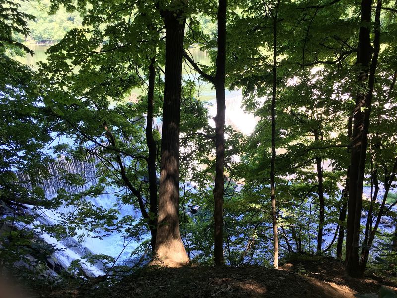 A Wooded Gorge That Changes The Mood A Wooded Gorge That Changes The Mood
