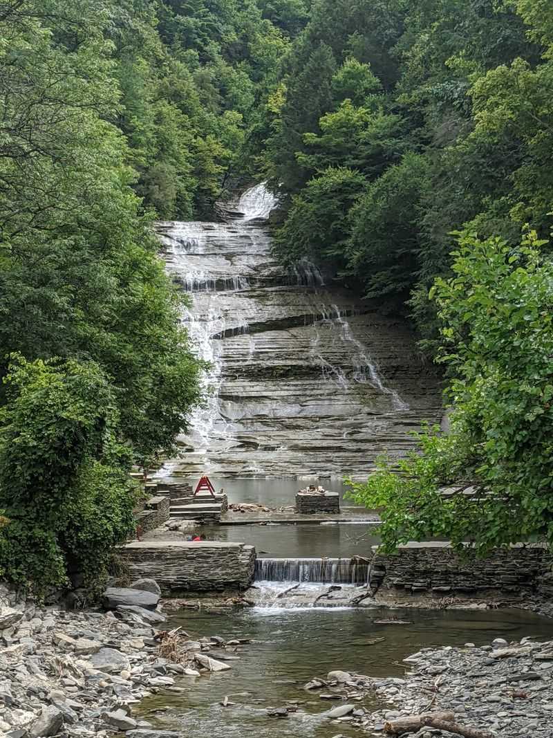 A Wooded Park Just Outside Ithaca
