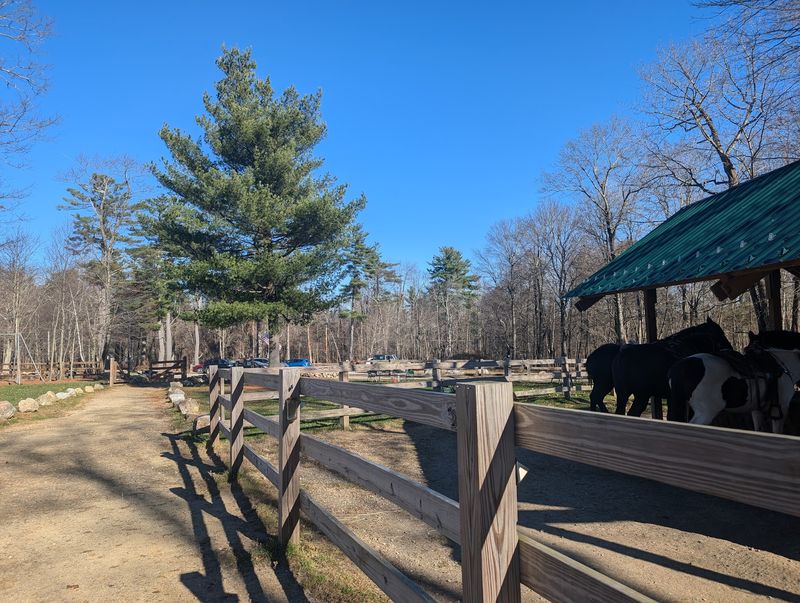 A Wooded Retreat in the Heart of Princeton A Wooded Retreat in the Heart of Princeton