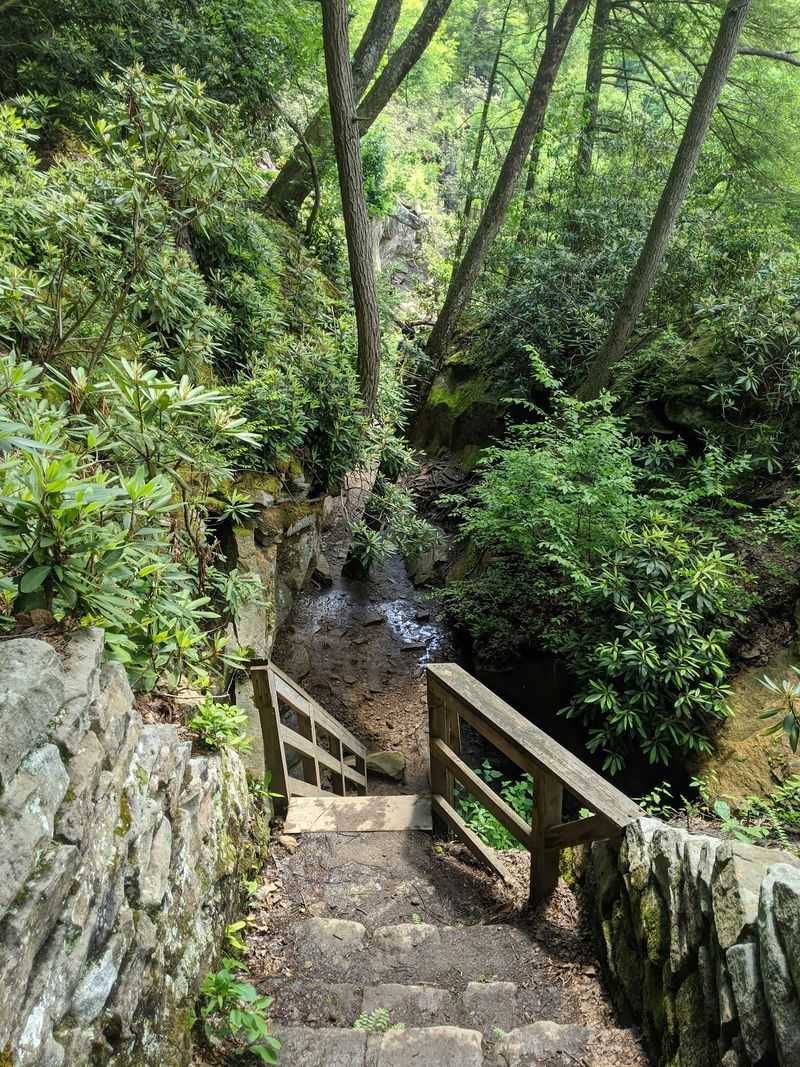 A Wooded Sanctuary in the Heart of West Virginia A Wooded Sanctuary in the Heart of West Virginia