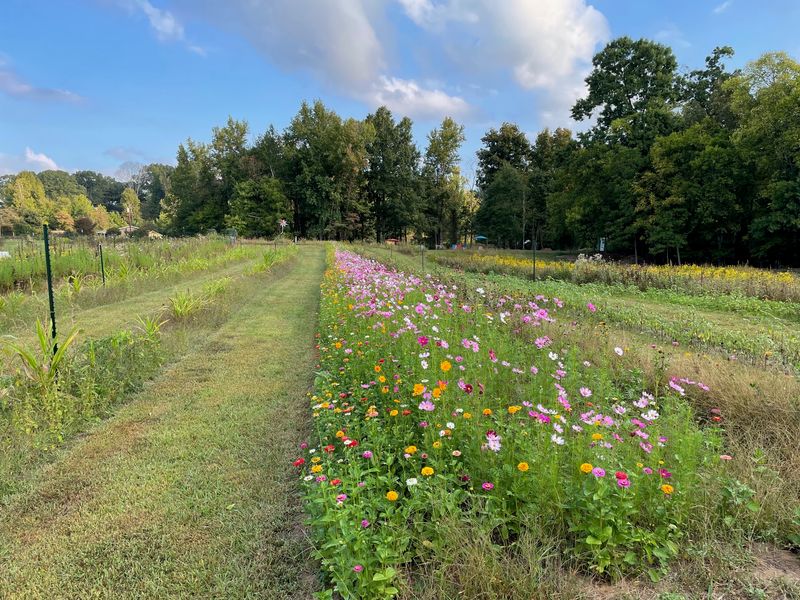 A Working Farm Tucked Into East Charlotte A Working Farm Tucked Into East Charlotte