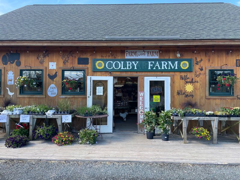 A Working Farm on Scotland Road