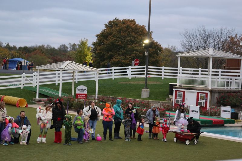 A Year Full of Celebrations: Seasonal Events at the Farm