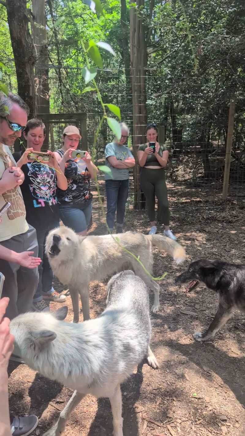 A family-friendly outing with a serious lesson A family-friendly outing with a serious lesson