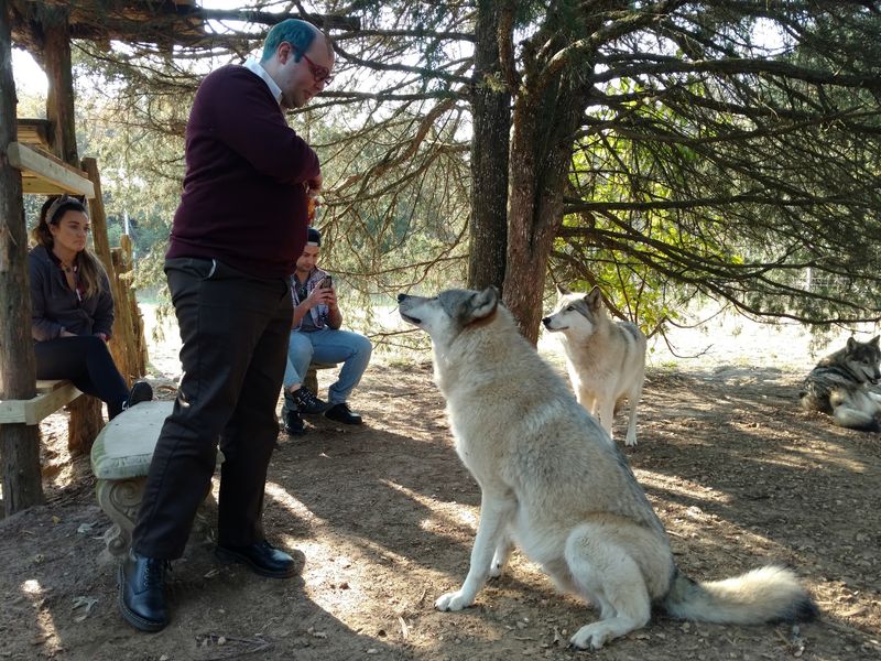 A soft verdict for New Jersey animal lovers A soft verdict for New Jersey animal lovers