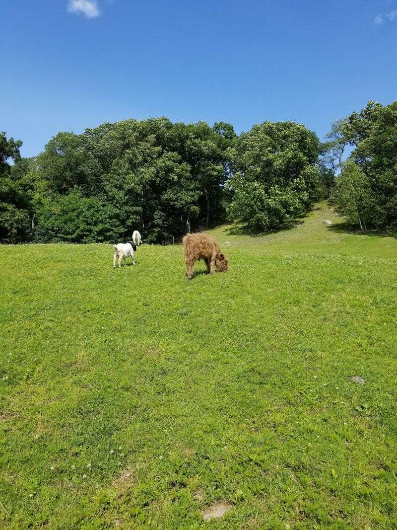 A soft verdict for a sanctuary worth supporting A soft verdict for a sanctuary worth supporting