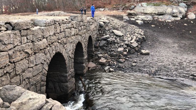 A soft verdict for careful bridge hunters