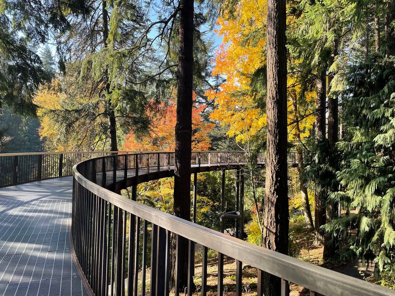 Accessibility, Terrain, and What to Know Before You Go Accessibility, Terrain, and What to Know Before You Go