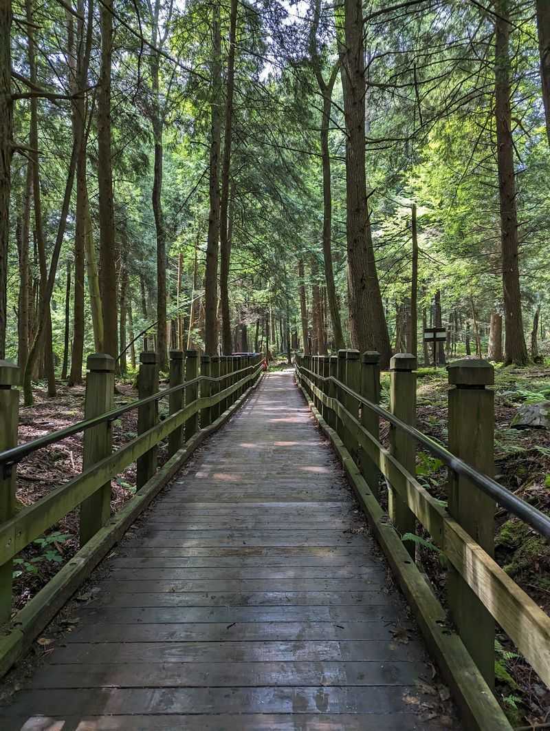Accessible Paths for the Big Falls
