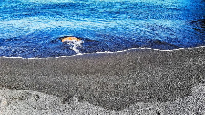 Agate Hunting Along the Water's Edge Agate Hunting Along the Water's Edge