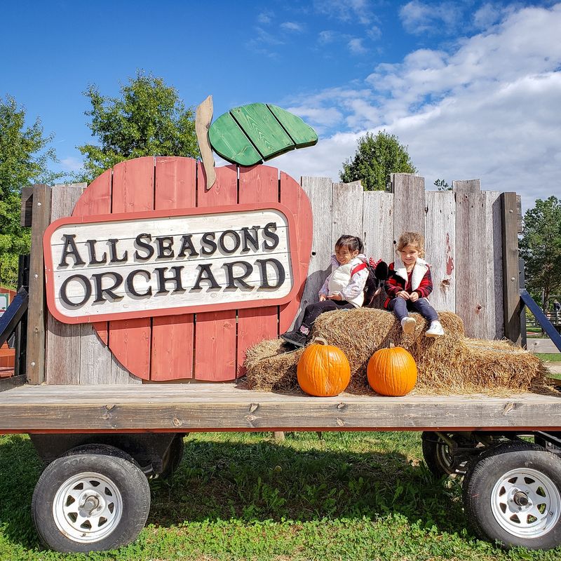 All Seasons Orchard - Woodstock All Seasons Orchard - Woodstock