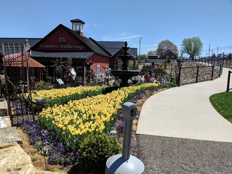 Amish Country Cuisine and Where to Find It