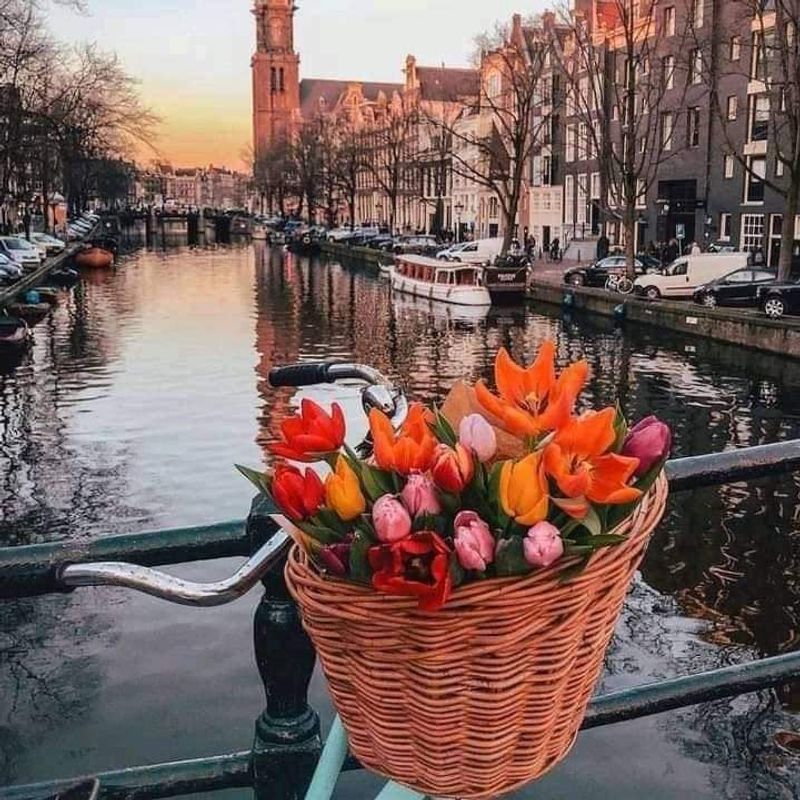 Amsterdam, Netherlands