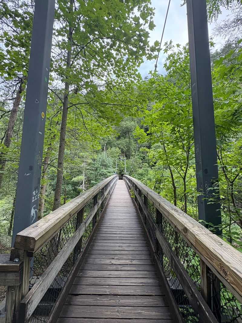 An Adventure Built for Thrill Seekers An Adventure Built for Thrill Seekers