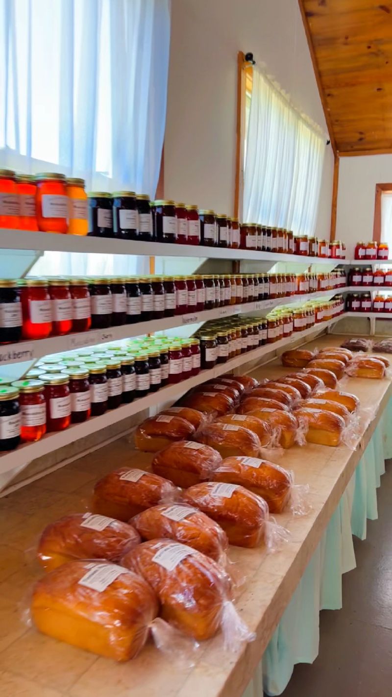 An Amish Tradition Rooted in the Land An Amish Tradition Rooted in the Land