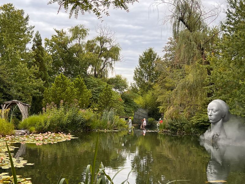 An Arboretum Threaded Through the Art
