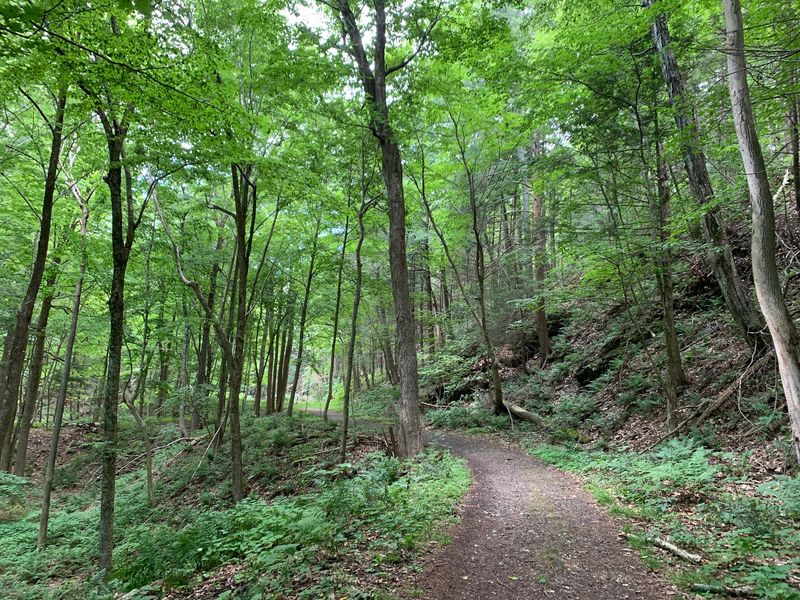 An Easy Walk That Doesn't Feel Like Work An Easy Walk That Doesn't Feel Like Work