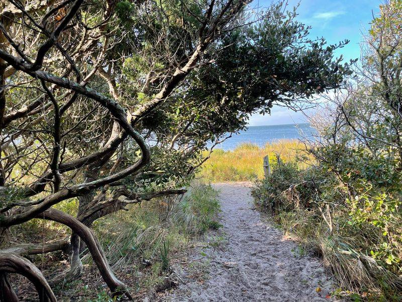 An Easy Walk Under a Mile