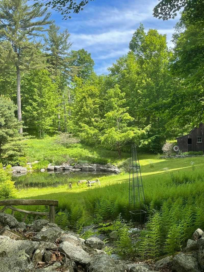 An Unexpected Sanctuary Hiding in Plain Sight An Unexpected Sanctuary Hiding in Plain Sight