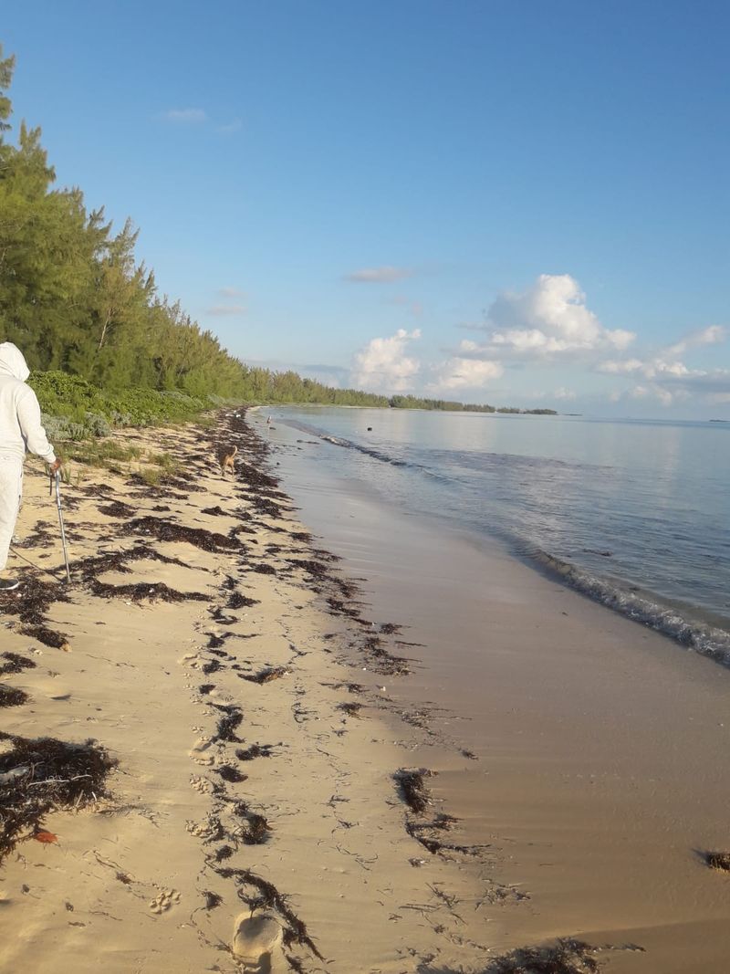 Andros Island, The Bahamas Andros Island, The Bahamas