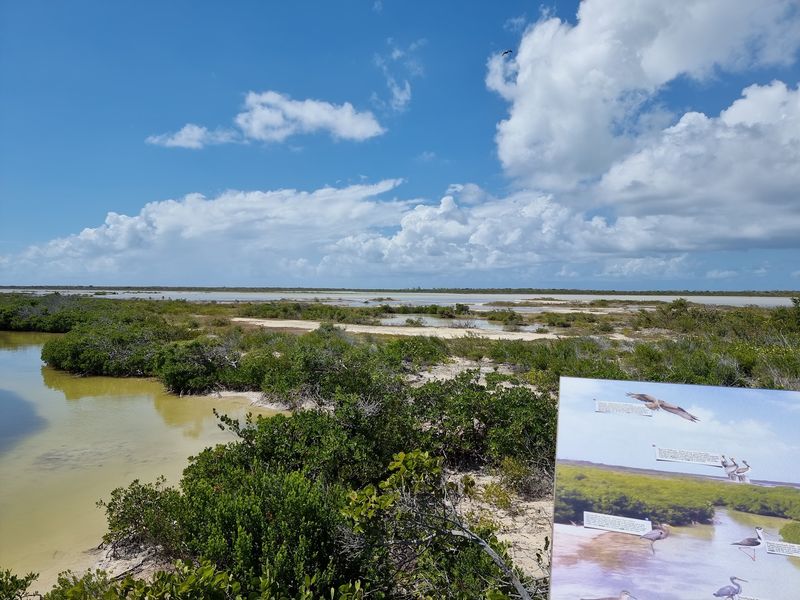 Anegada, British Virgin Islands Anegada, British Virgin Islands