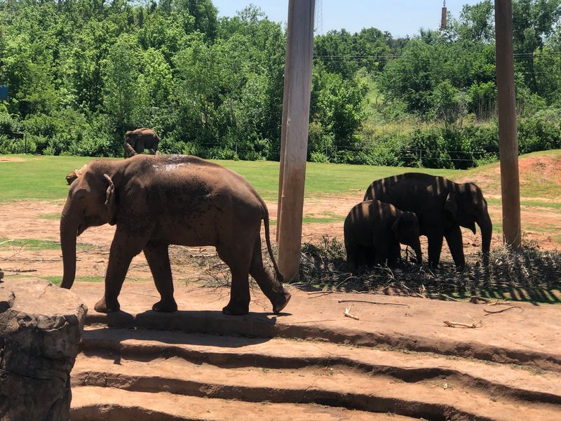 Animal Habitats That Reward Slow, Attentive Visitors Animal Habitats That Reward Slow, Attentive Visitors