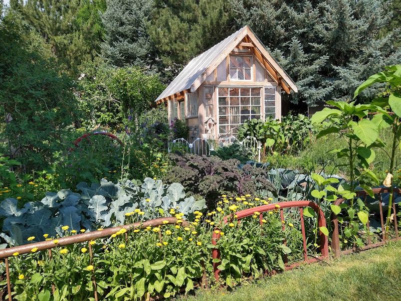 Animals, Gardens, and the Everyday Magic of Farm Life